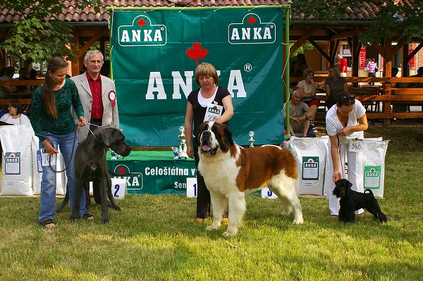 CVP Senec 6. 6. 2008