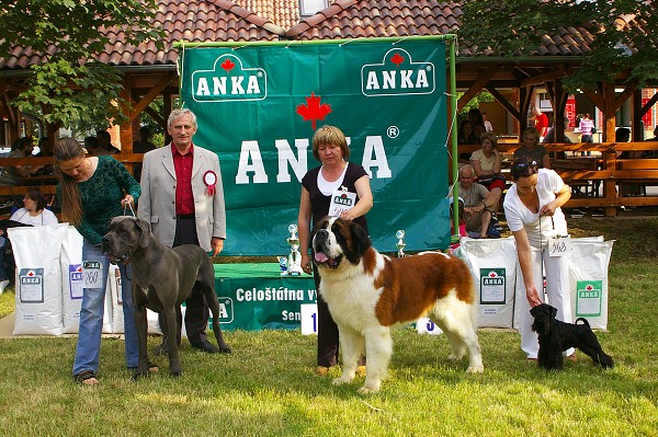 CVP Senec 6. 6. 2008