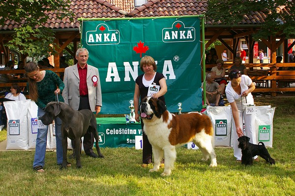 CVP Senec 6. 6. 2008