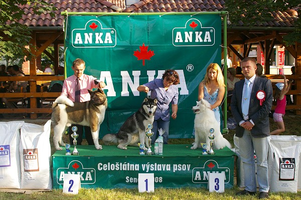 CVP Senec 6. 6. 2008