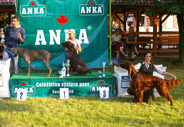 CVP Senec 6. 6. 2008