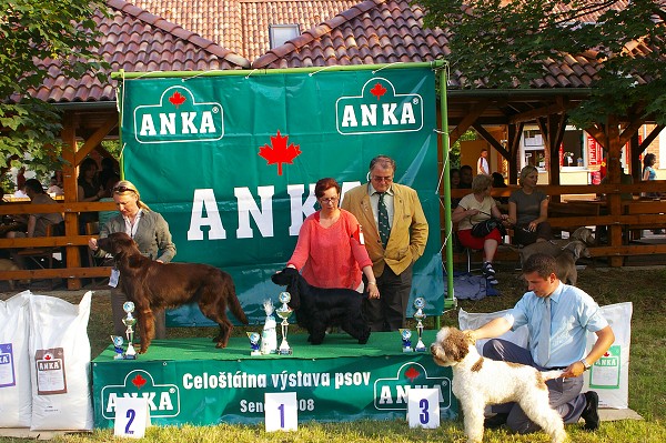 CVP Senec 6. 6. 2008