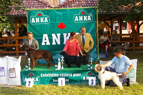 CVP Senec 6. 6. 2008