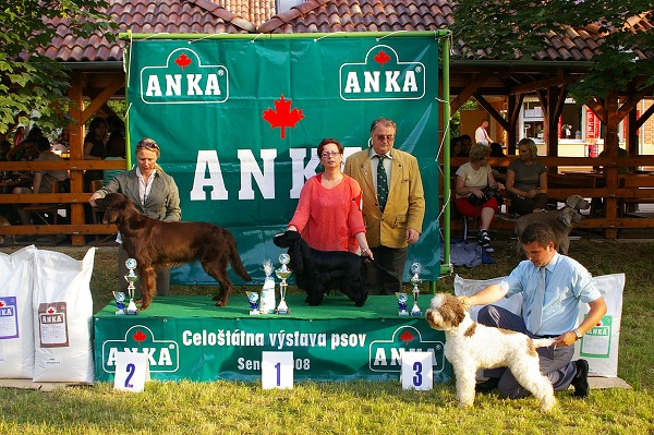 CVP Senec 6. 6. 2008