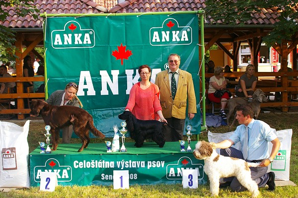 CVP Senec 6. 6. 2008