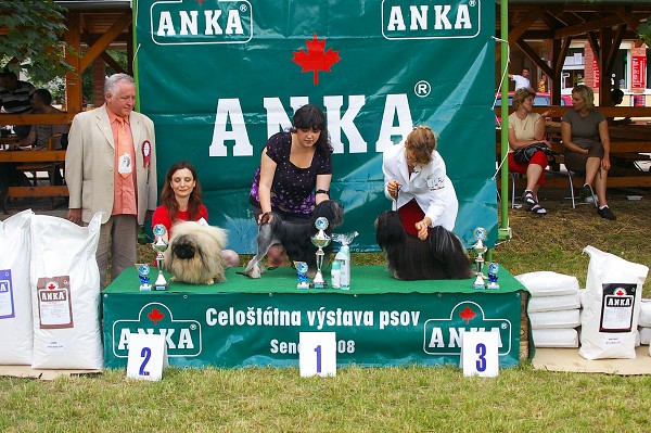 CVP Senec 6. 6. 2008