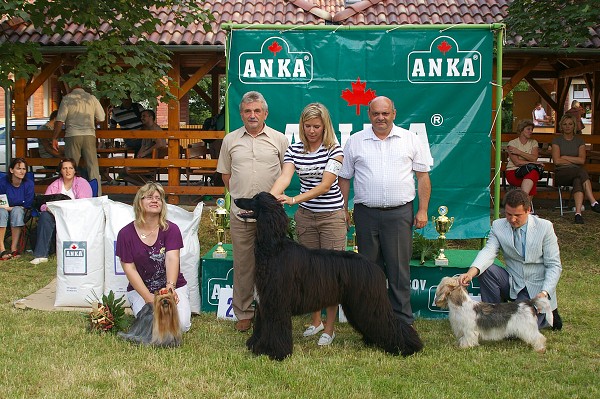 CVP Senec 6. 6. 2008