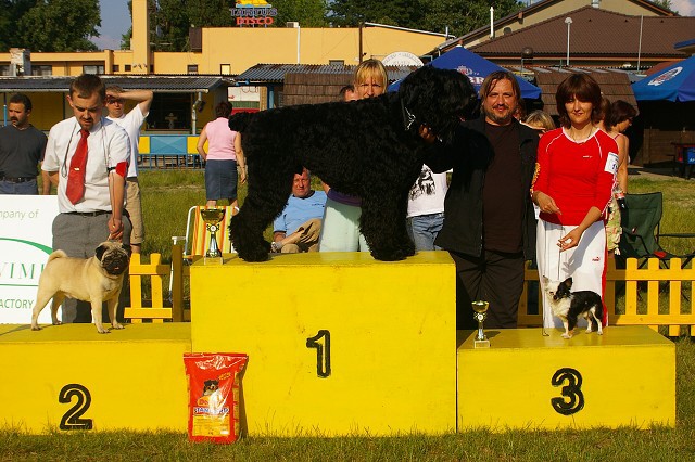 1. júna 2007 17:43:58
