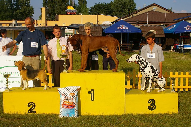1. júna 2007 18:13:24