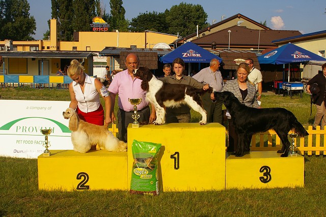 1. júna 2007 18:21:54