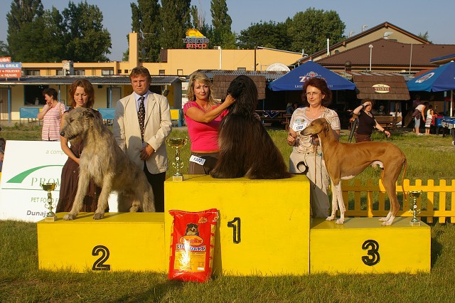 1. júna 2007 18:29:14